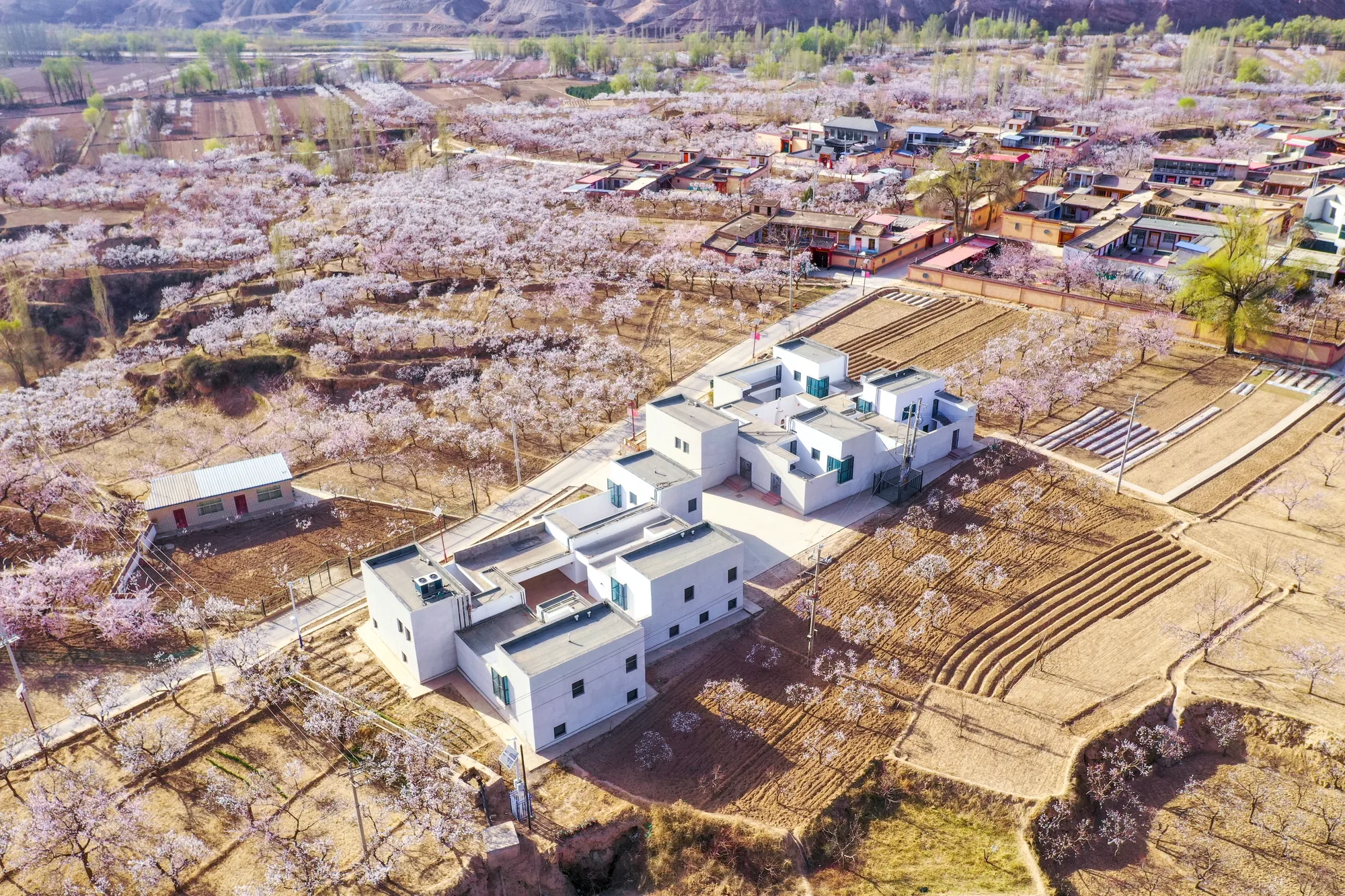 唐蕃云舍 图片 3